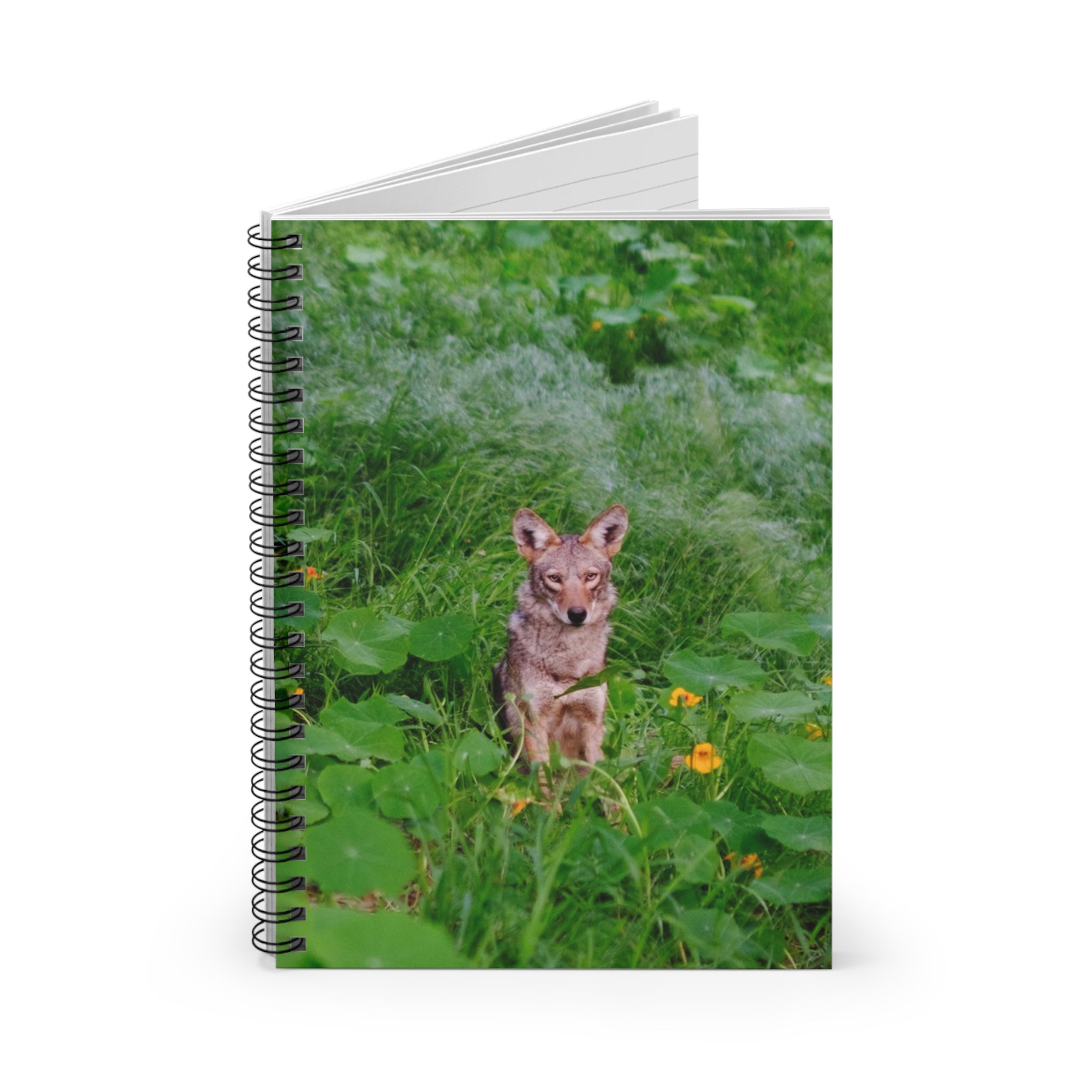 COYOTE JOURNAL