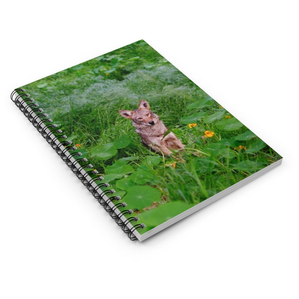 COYOTE JOURNAL