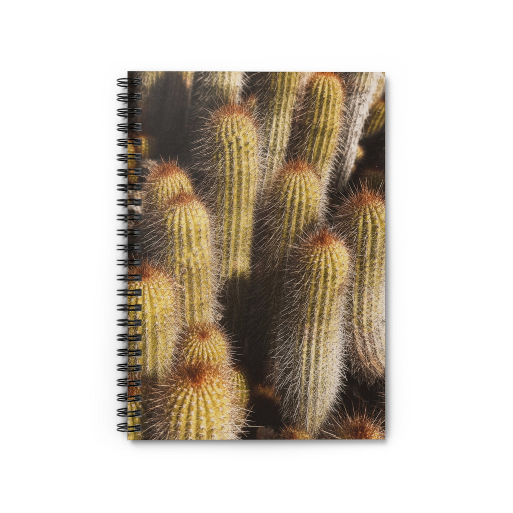 CACTUS JOURNAL