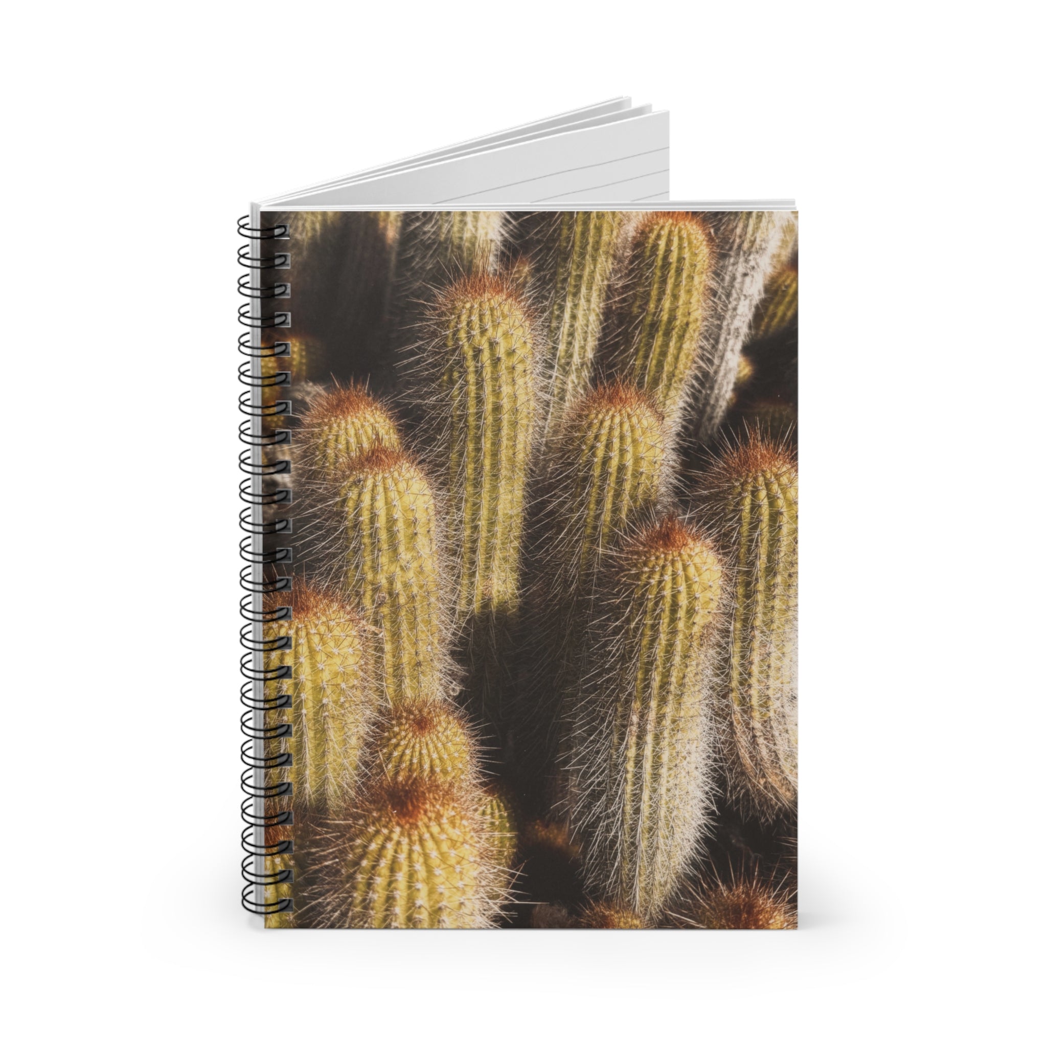 CACTUS JOURNAL