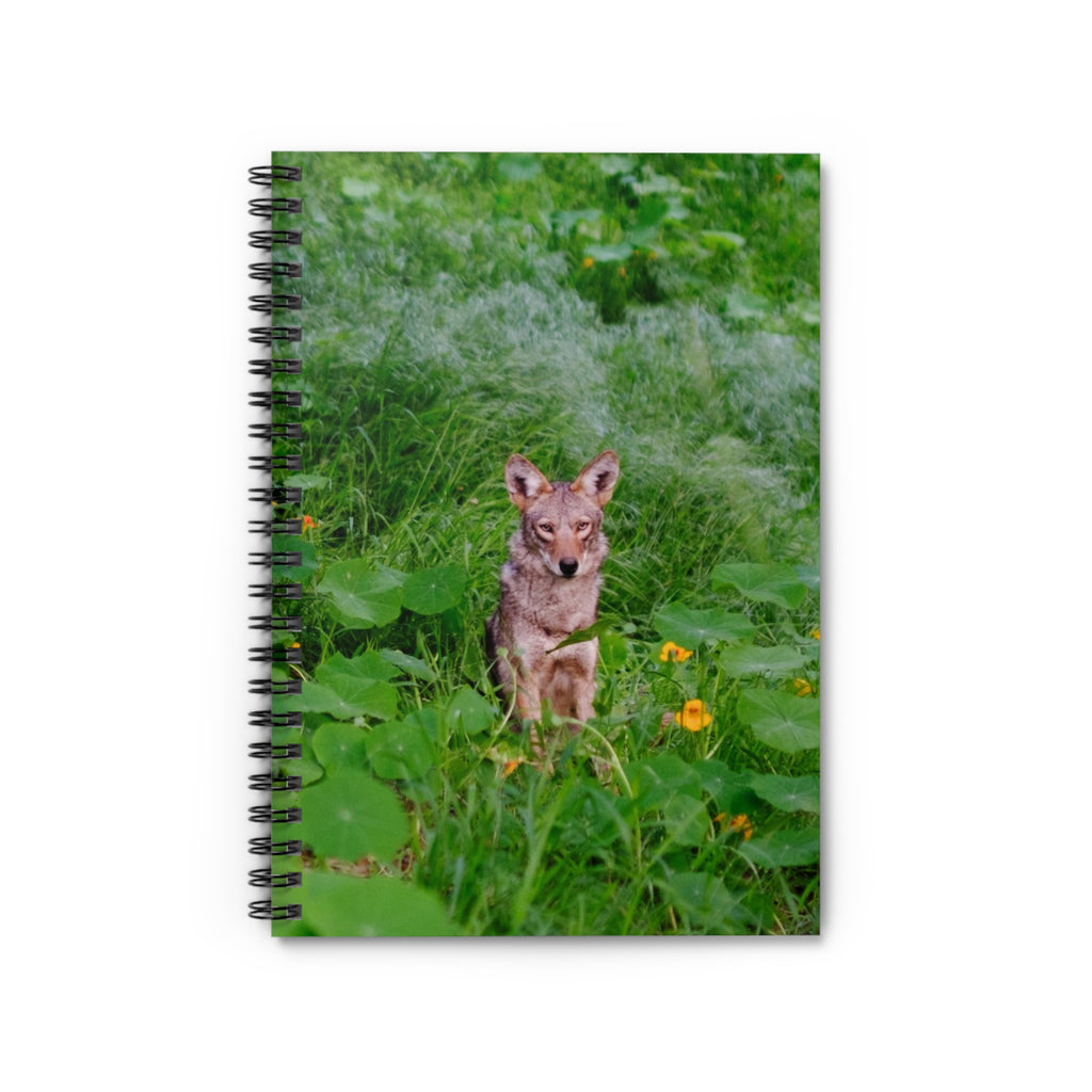 COYOTE JOURNAL