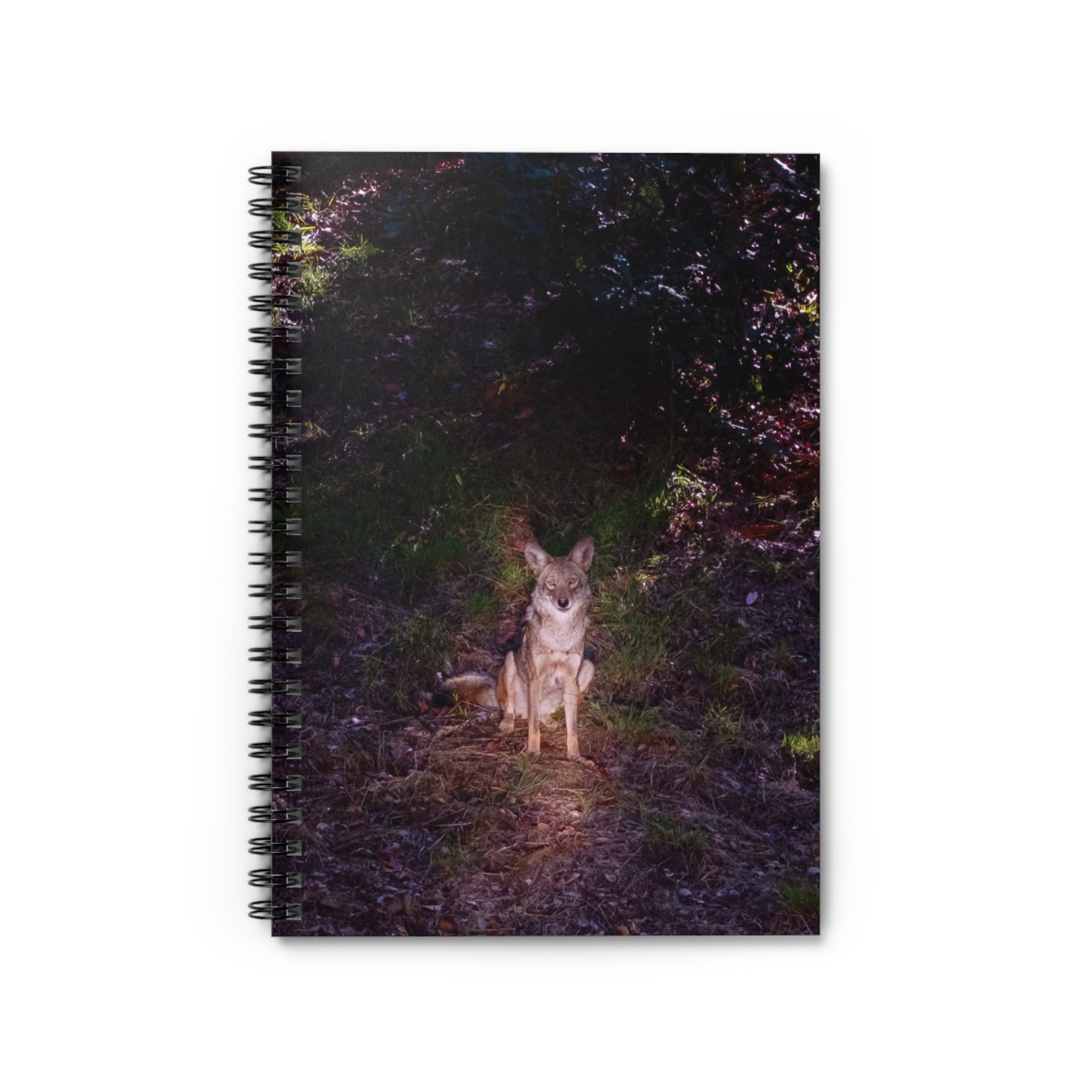 COYOTE SMILING JOURNAL