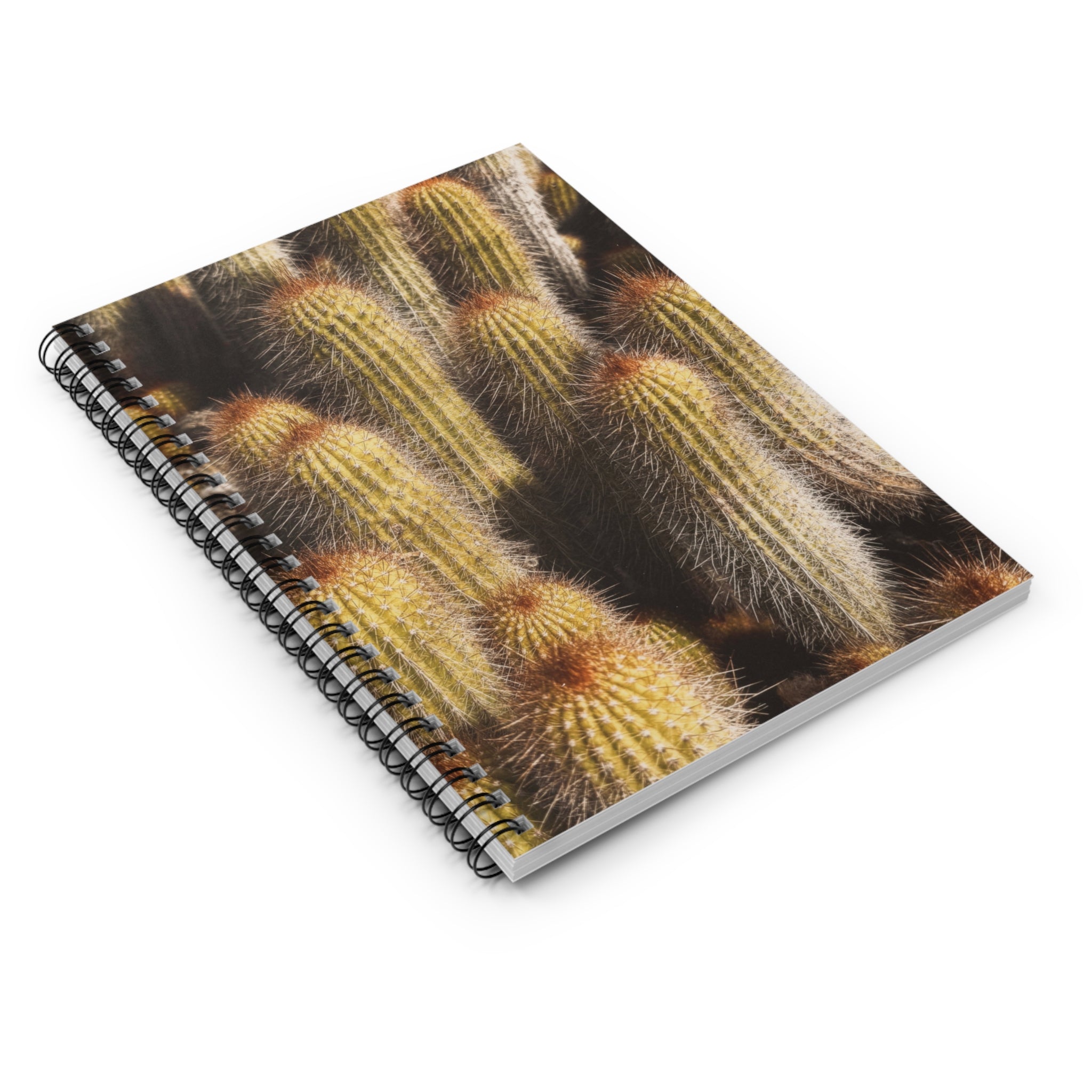 CACTUS JOURNAL